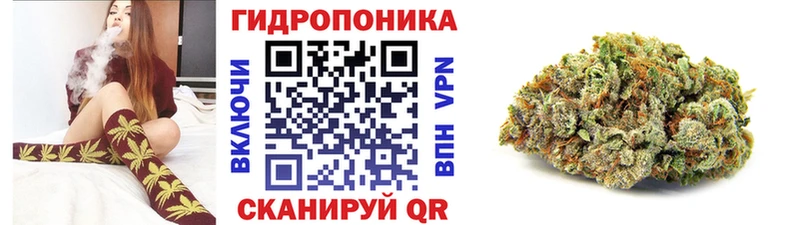 Где можно купить наркотики Починок Альфа ПВП  Меф мяу мяу  Гашиш 