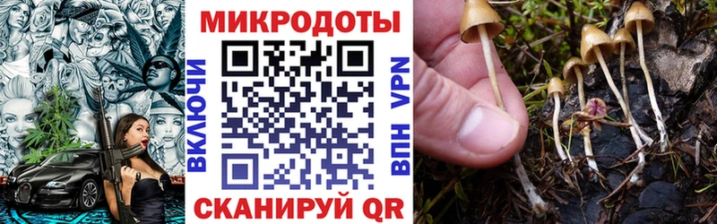 Псилоцибиновые грибы мицелий  Починок 